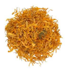 Calendula Marigold Flower | Organic Marigold | Organic