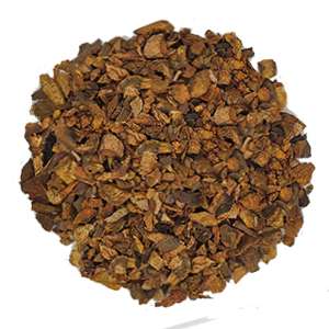 Rhubarb Root Organic Rheum palmatum Rheum officinale Ourland Herbs