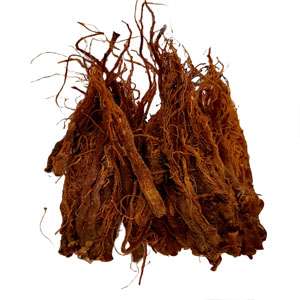 Ginseng Panax Root | Whole Red Korean | Organic | Kosher