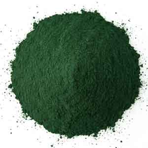 Organic Spirulina Powder Premium Green Superfood by Ourland Herbs